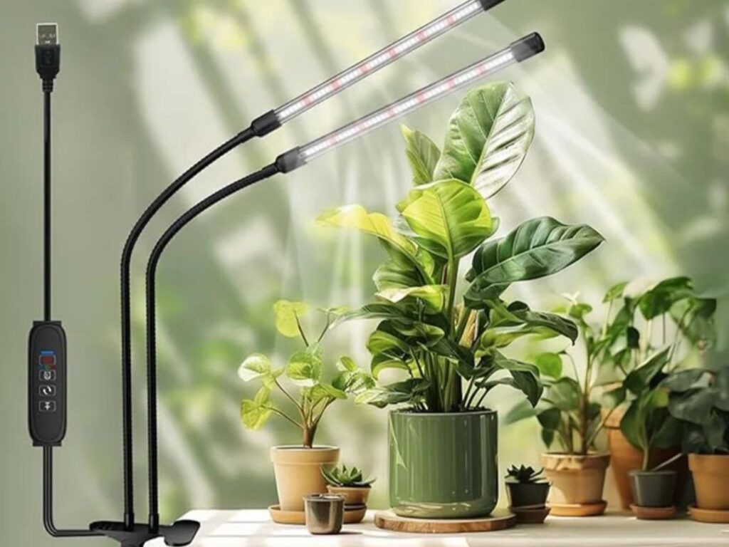 Фітолампи для кімнатних рослин — AliExpress піклується про ваших зелених улюбленців